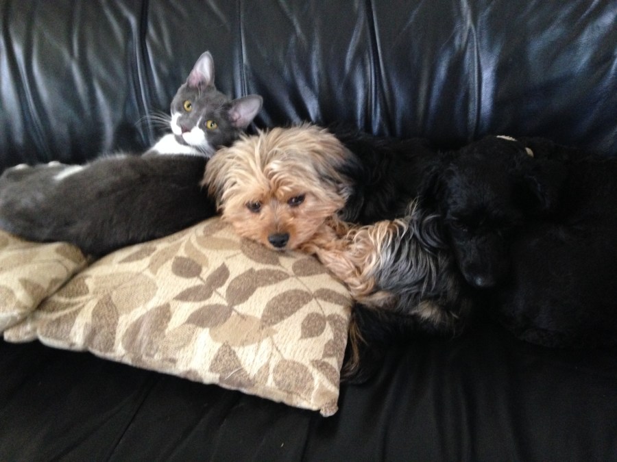 iphonepics2016take5-207